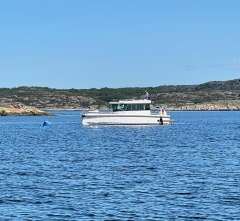 Axopar 28 Cabin