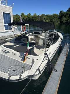 Stingray 225SX