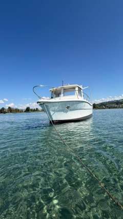 Ocqueteau Fish 610 Hardtop