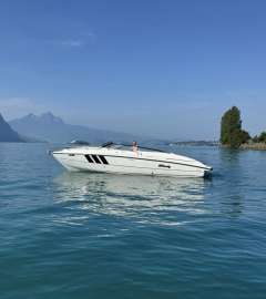 Windy Coho 29 Motor yacht