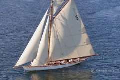 William Fife & Son 12mR Class