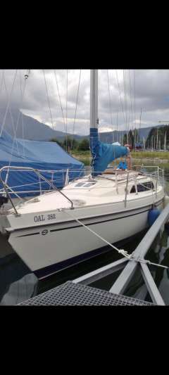Schöchl Sunbeam 25