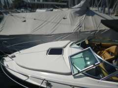 Viper 243