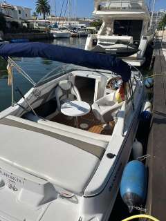 Glastron GS209