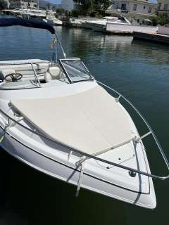 Glastron GS209