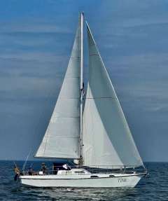 Reinke 10M