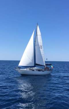 Artmare Cat 33 Yacht a vela classica