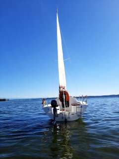 Deltania 20.5 Sport Performance Cruiser