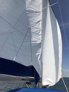 Viko 23