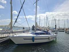 Mallard Start 7