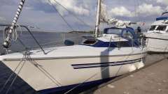 Mallard Start 7
