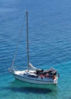 Neptun 26