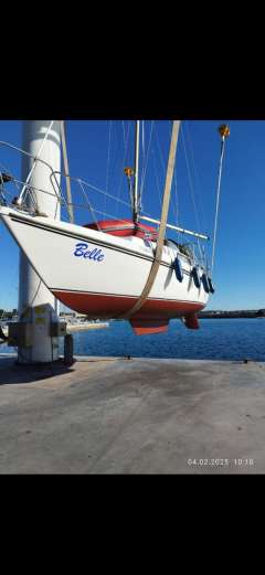 Neptun 26