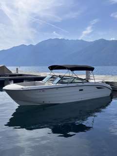 Sea Ray SDX 270 Europe Bowrider