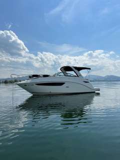 Sea Ray SeaRay Sundancer 265 Sportboot