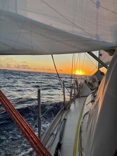 Jeremy Rogers Limited Contessa 32