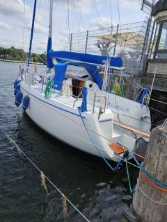 Pegaz 28