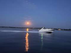 Sunseeker Portofino 35