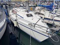 Gib Sea Gibsea 282