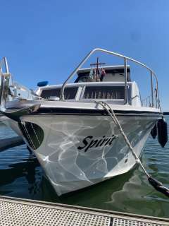 Cytra Courier 31 DS