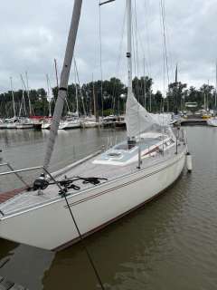 Luffe 37