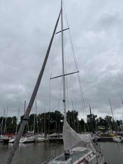 Luffe 37