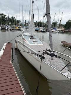 Luffe 37