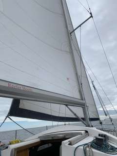 Pegazus 969