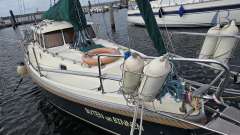 Haber 800