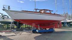 Motorsegler Calypso 43
