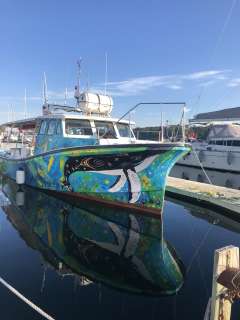 Electric tour/fishing commercial vessel Fishing boat