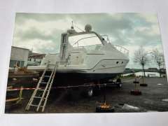 Sessa Oyster 38
