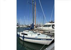 Neptun 22 Daysailer
