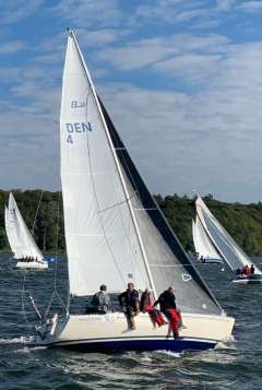 Larsen 25