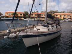 Ta Shing Panda 38 Segelyacht