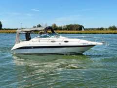 Sea Ray 250 Sundancer Moottorijahti