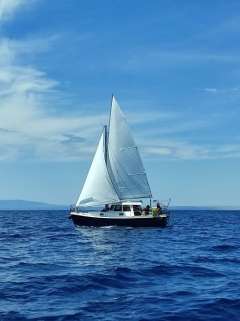 Haber 660