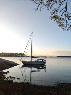 Harmony 31 Långfärdsbåt