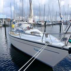 Dehler 31