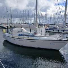 Dehler 31 Segelyacht