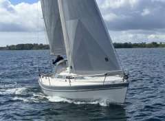 Impala 27 Segelyacht