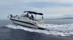 Sea Ray 250 Sundancer