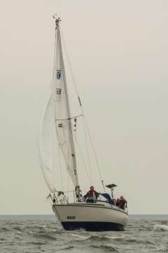 Maxi 84