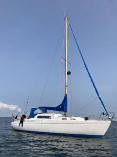 Albin Vega 27 Sailing yacht