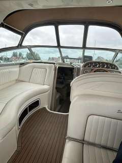Sea Ray 290