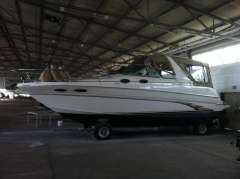 Sea Ray 290