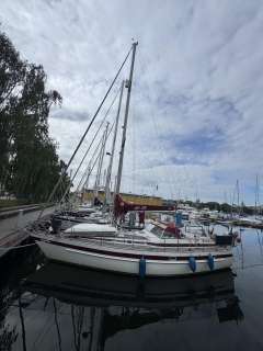 Rex Marin Aphrodite 40