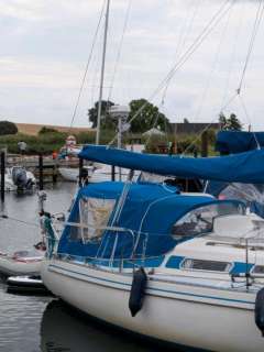 Colina L29