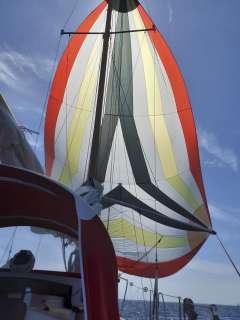 Halcyon 27