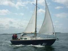 Halcyon 27